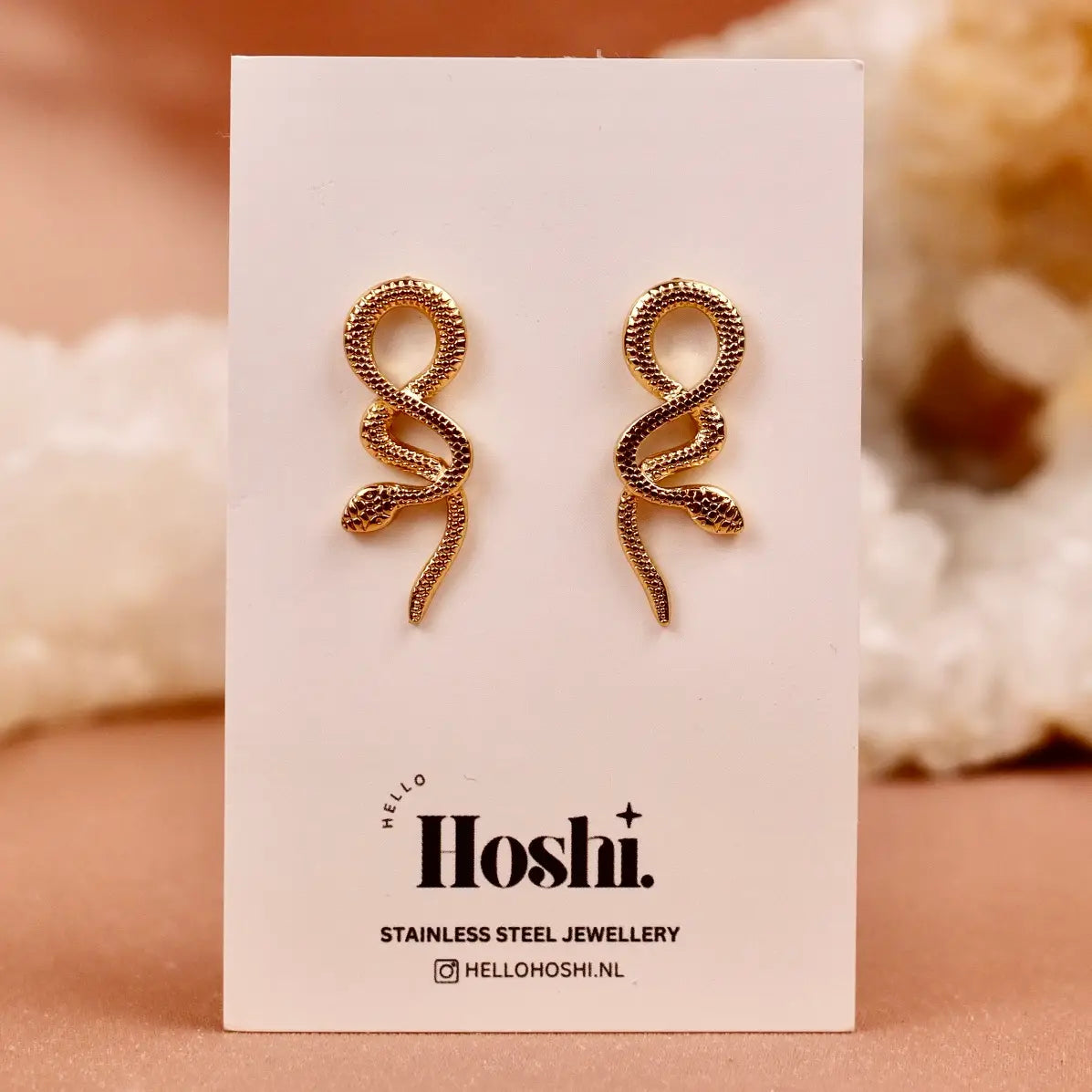 Boucles d’oreilles Monde des serpents – Acier inoxydable